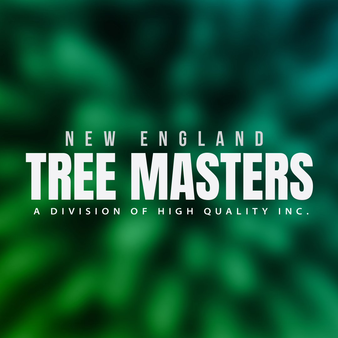 NEW ENGLAND TREE MASTERS Reviews Boxborough, MA Angie's List